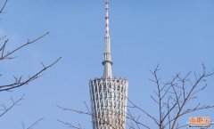 <b>请网行核实相关内容</b>